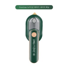 클래파스팀다리미