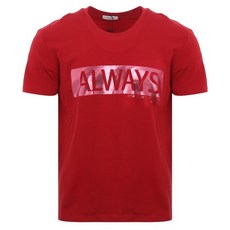 발렌티노트윌리