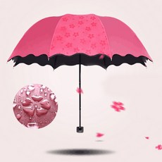 라임양