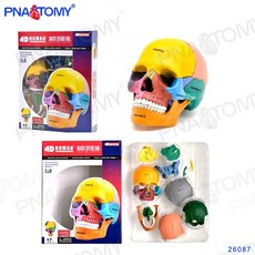 마스터기초의학