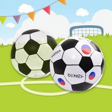 축구공비치볼