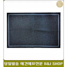 고양이초보집사되기