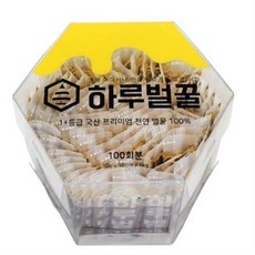 꿀보의하루