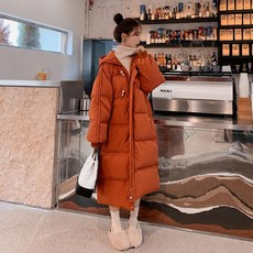 헤지스더플코트
