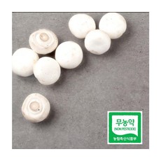 부여 무농약인증 꼬마양송이버섯 500g, ONE COLOR, ONE SIZE
