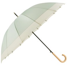 세인트스코트양산