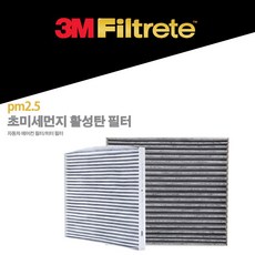 쓰리엠 PM2.5 초미세먼지 활성탄 필터, F6281, 2개입