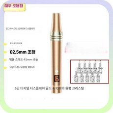 파웰 mts기계 가정용 모공 오토 펜 셀프 관리, 상세페이지 참고, 금색 6단계+10개 바늘