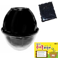 어린이학습용콩나물키우기
