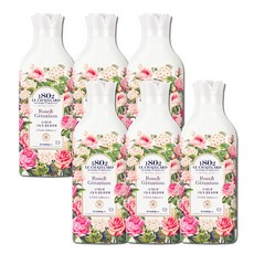 르샤트라로즈제라늄