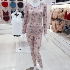 비비안내복