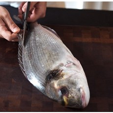 완도 자연산 반건조 도미(특대 30cm 전후 내장제거 등 전처리완료 개당 진공포장), 1개, 500g 내외
