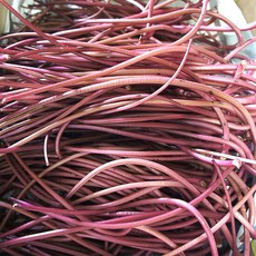 고구마줄기-추천-상품