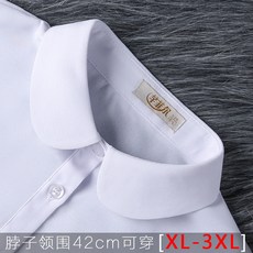 넥케이프액세서리장식