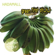 사바 바나나 필리핀 그린 과일 green saba banana, 1박스, 1.5kg