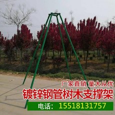 ed324a7fbd3169576db495513a1a65f4b3d3e3e0506ebb67d3466181b029.jpg