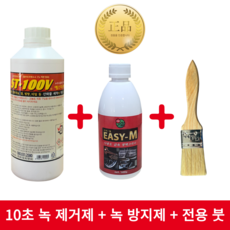 ST100V 이지엠 녹제거제 녹방지제 SET 스텐 알루미늄 관리, ST100V 1000ml 1개 이지엠1개, 1개