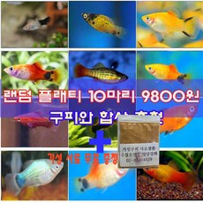 9db1a4599cbfdab33f7d25670515fc017fd8a681d2e255d33b2722264e54.jpg