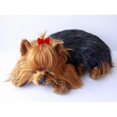 니니앤키노 퍼펙트펫 대사이즈 요크셔테리어 인형 개 개 개 개 리얼 리얼 리얼 모조리 잡화 동물 동물 치유 움직이다 선물 선물 축하 귀여운 개인형