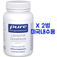 리포조말글루타치온