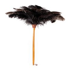 REDECKER Ostrich-Feather Duster with Waxed Beechwood Handle 43-3/8-Inches REDECKER 타조-깃털 먼지 떨이 왁스, 1