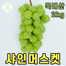 영월포도