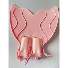 양양스쿠버다이빙체험