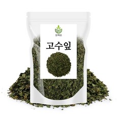 향신료고수