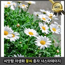 bbd3b20ba4cbd88ba211565abf5cbeb144b33b30bdfeb9722dccde08956e.jpg