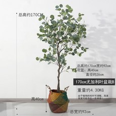 //상품명