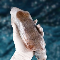 국내산 무늬오징어 동해안 울릉도 자연산 생물 급냉 오징어 1kg 2-5미 옵션 6-8미