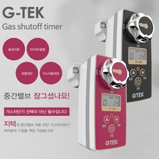 주)지텍 지텍 가스자동차단기, GT-09B, 1개