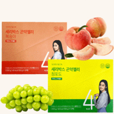 다이어트하루칼로리