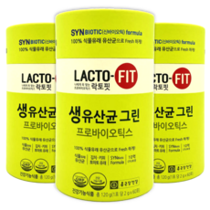 락토핏그린