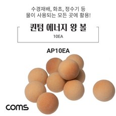 퀀텀에너지