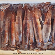 주문진오징어