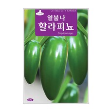 할라피뇨 30립 고추씨앗, 1개