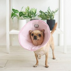 패리스독스마일지퍼패딩