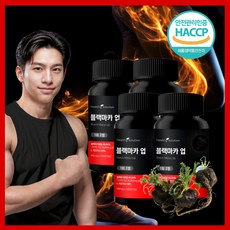 헬씨솔루션 아르기닌 블랙마카 L아르기닌, 4개, 120정