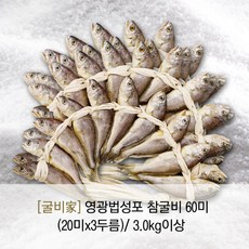 [굴비家] 영광법성포 참굴비(60미/3.0kg)/냉동, 1개, 상세 설명 참조