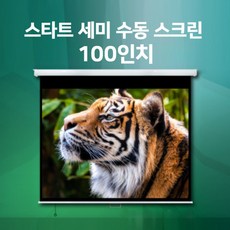 100인치수동스크린