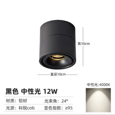 롱핀조명
