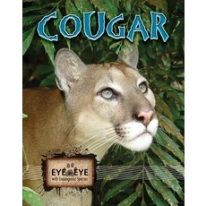 (영문도서) Cougars Paperback, Rourke Educational Media, English, 9781606948439