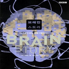 브레인 스토리 수전 그린필드