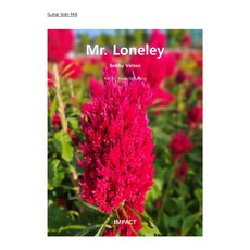 [기타악보 피스] Mr. Lonely-TAB(타브악보)
