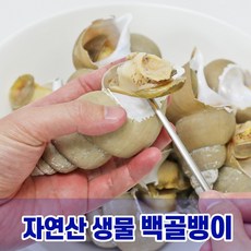 골뱅이제철