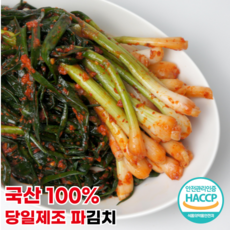 [행운김치] 100% 국산 당일제조 전라도 파김치, 1개, 1kg