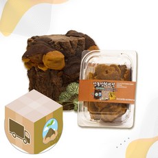 송일품 상황버섯 목질진흙버섯 원물 건재, 50g, 1세트