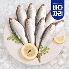 [냉동] 국내산 가을햇전어 구이용 자연산전어 1kg, 단품