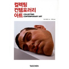 컬렉팅 컨템포러리 아트 / 마로니에북스